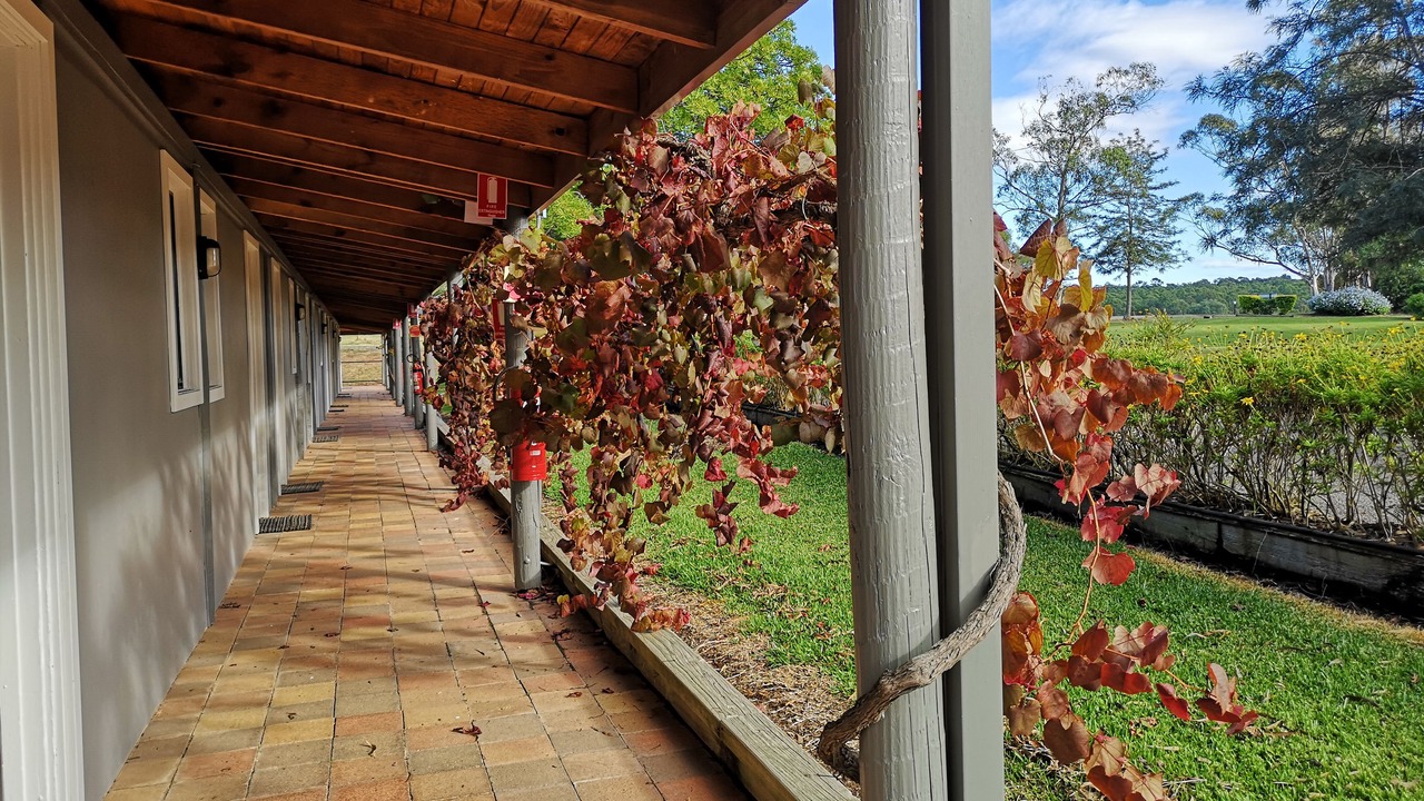 Photo of Outdoor in Pokolbin