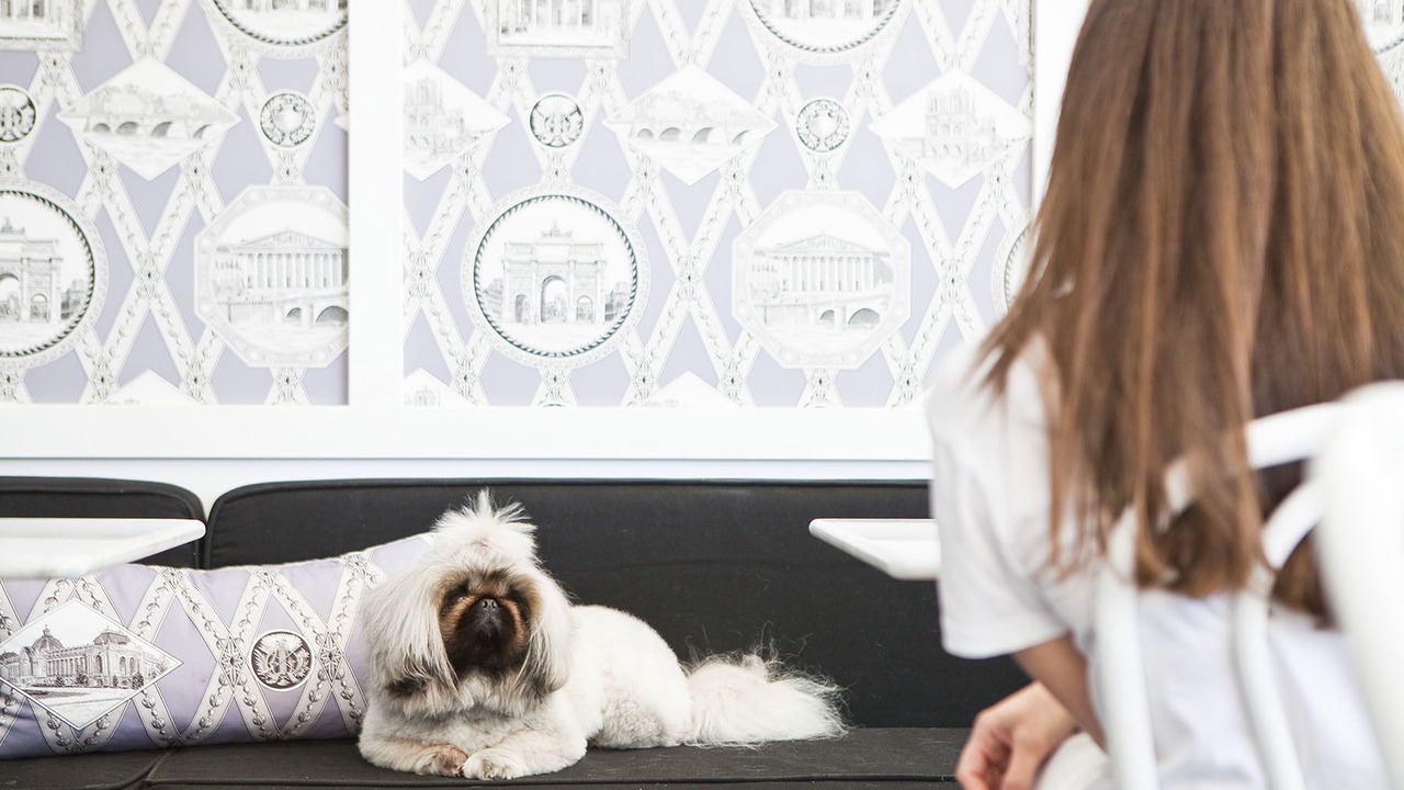 Photo of Others in Woollahra