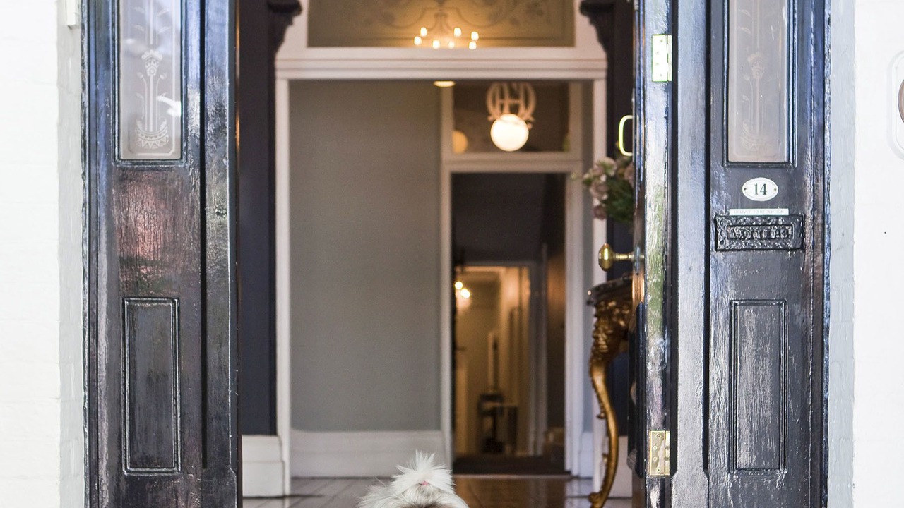 Photo of Others in Woollahra