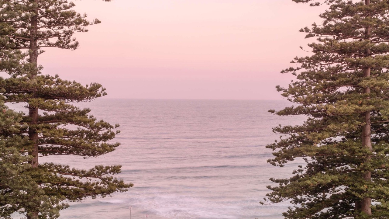 Photo of Bedroom in Manly