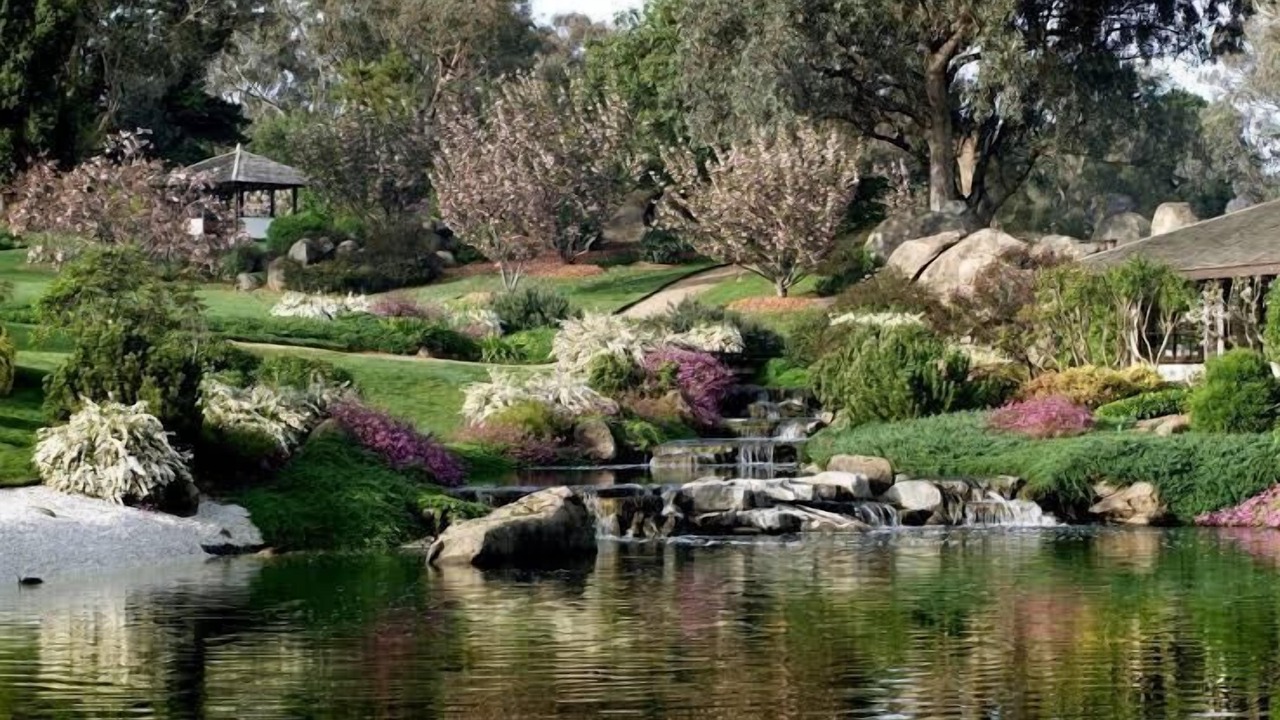 Photo of Others in Cowra