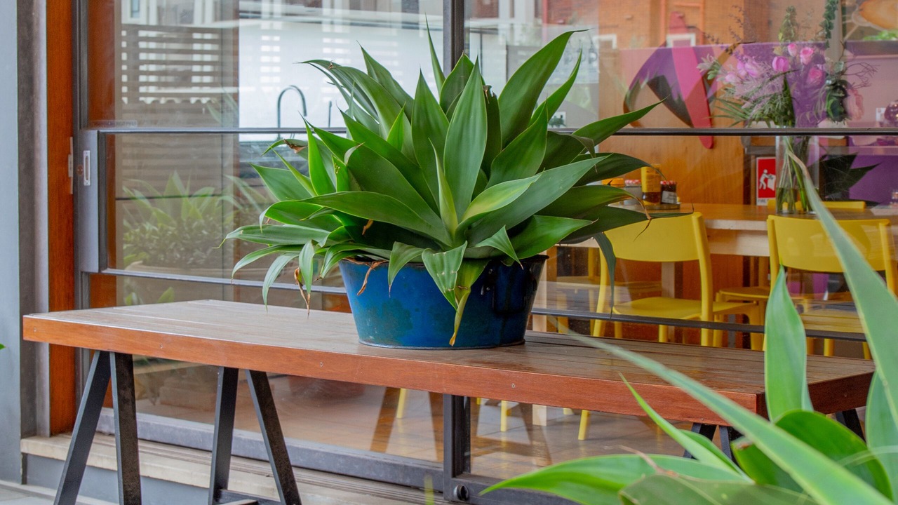 Photo of Outdoor in Coogee