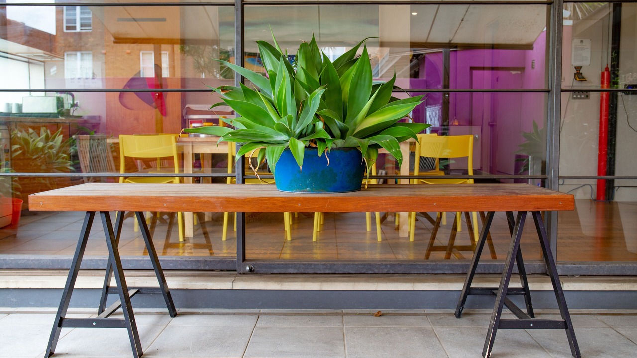 Photo of Outdoor in Coogee