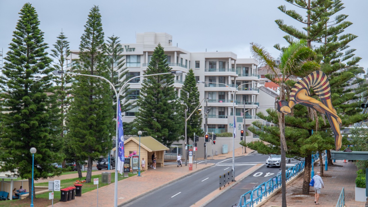 Photo of Others in Coogee