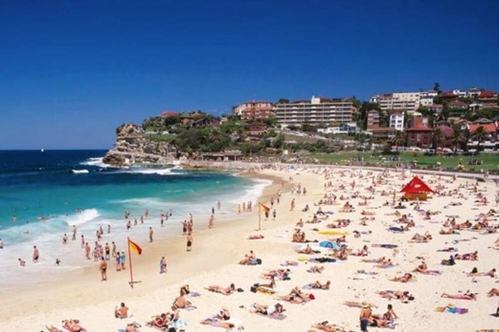 Photo of Others in Rose Bay
