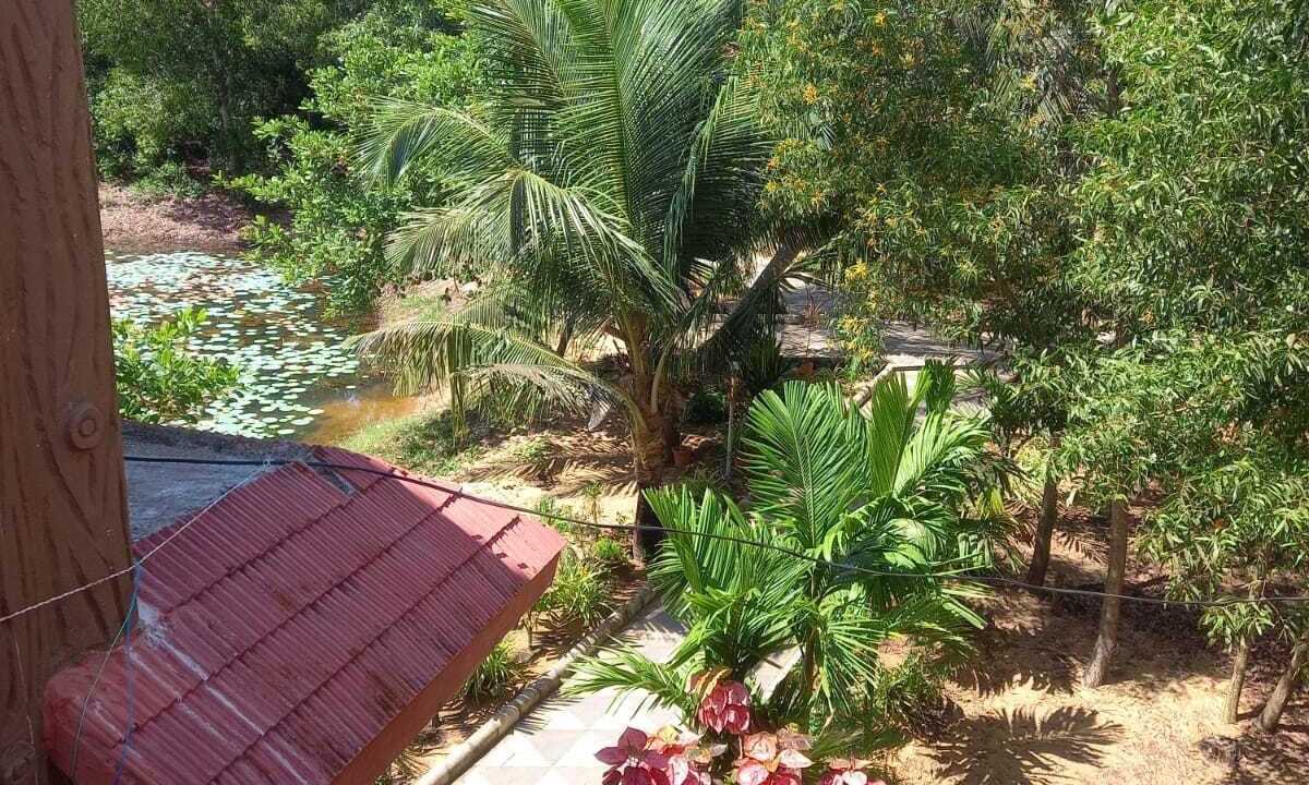 Photo of Outdoor in Puri