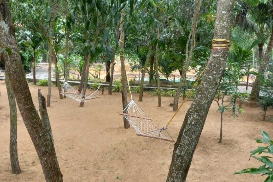 Photo of Outdoor in Puri