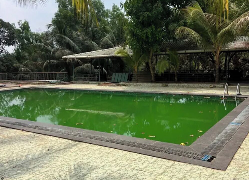 Photo of Outdoor in Pen