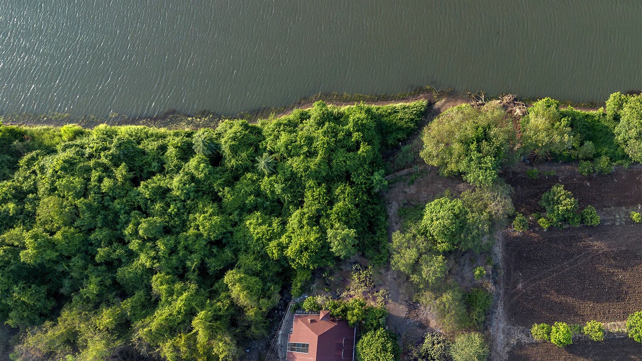 Photo of Outdoor in Paud