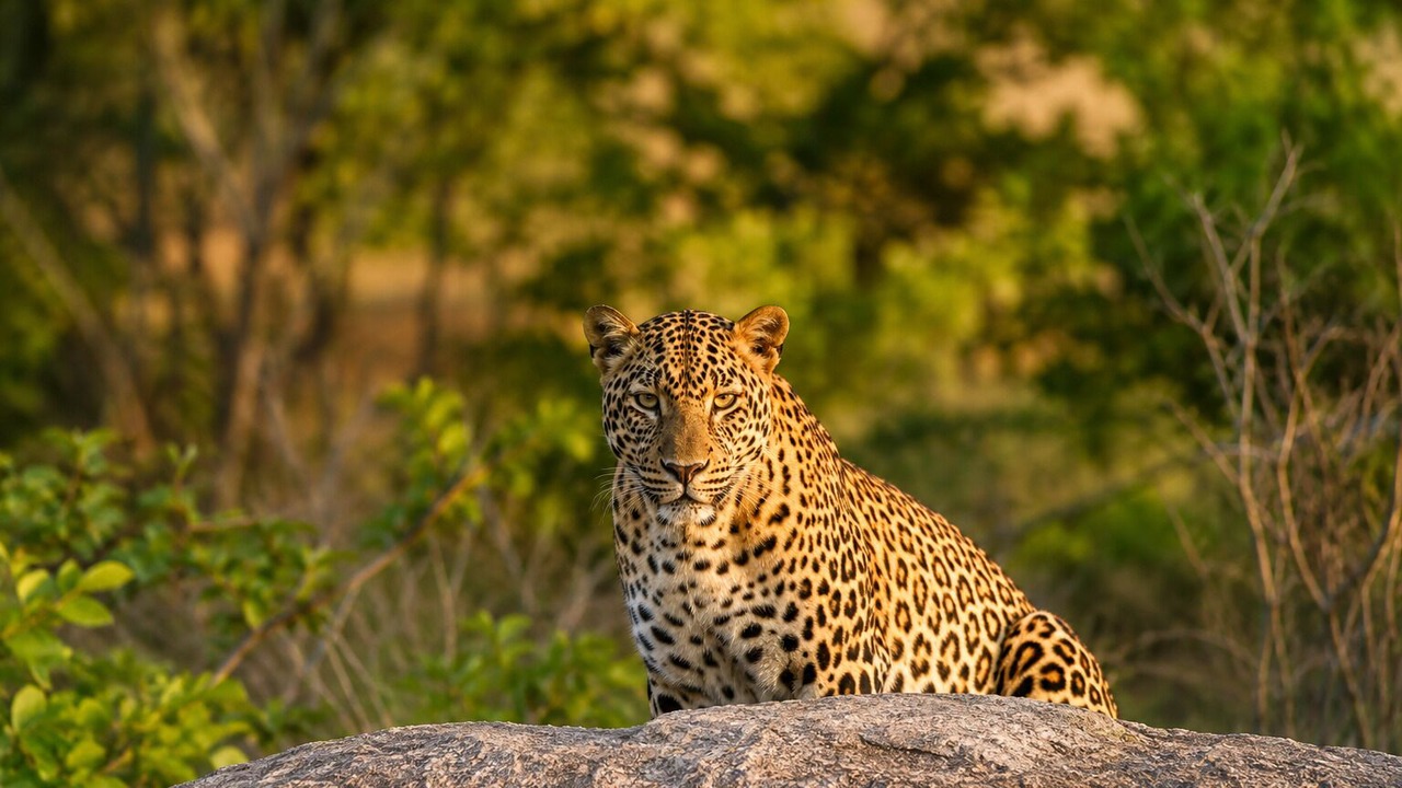Photo of Outdoor in Shivganj
