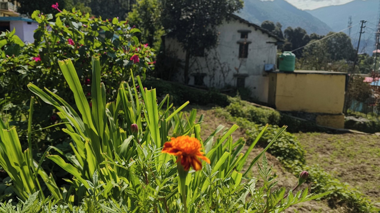 Photo of Outdoor in Ukhimath