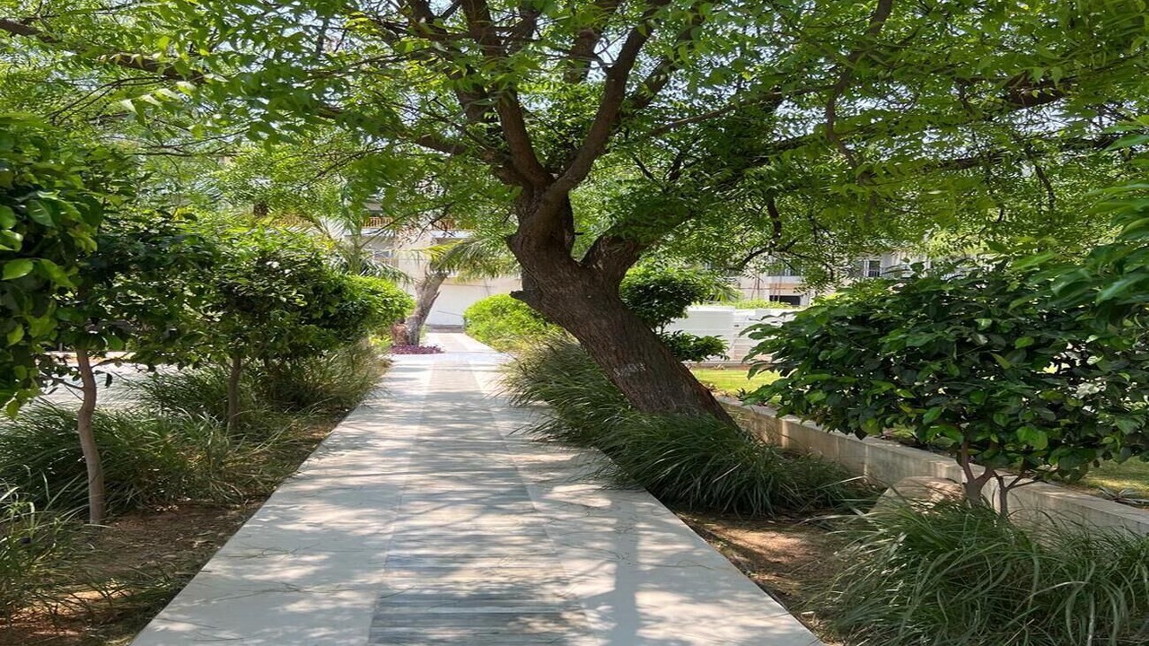 Photo of Outdoor in Chevella