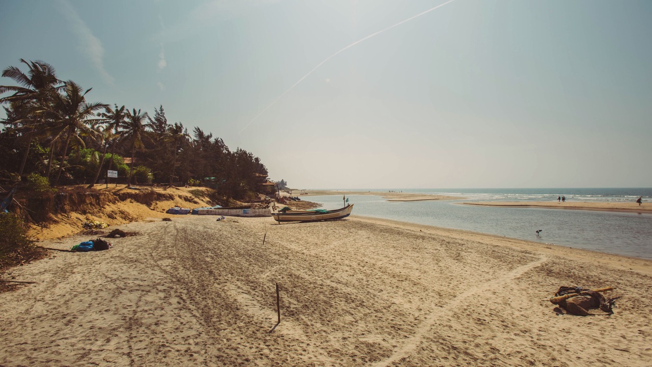 Photo of Others in Mandrem