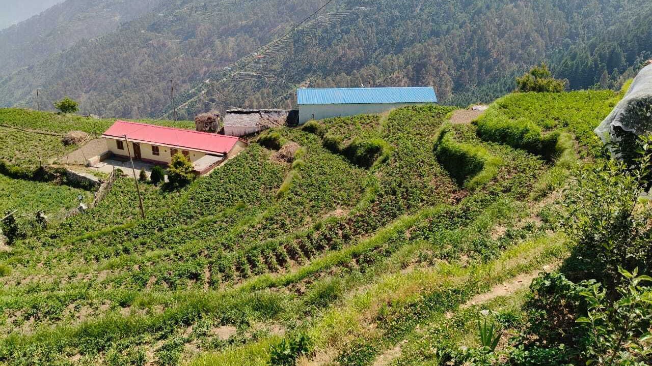 Photo of Outdoor in Kanatal