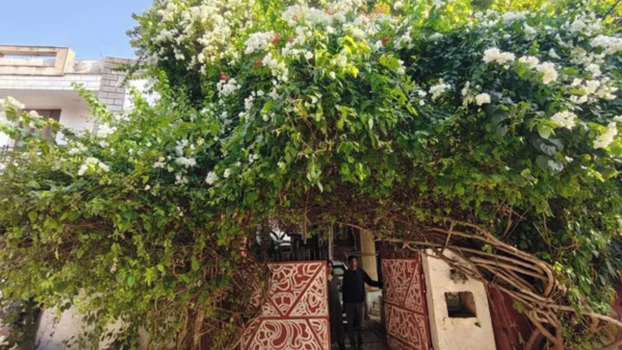 Photo of Outdoor in Vaishali Nagar