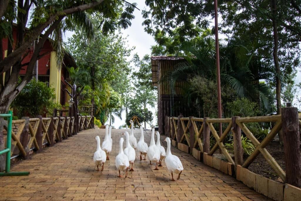 Photo of Outdoor in Jabalpur