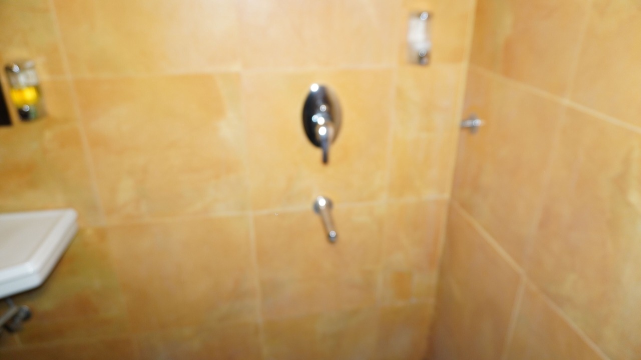 Photo of Bathroom in Durgapura