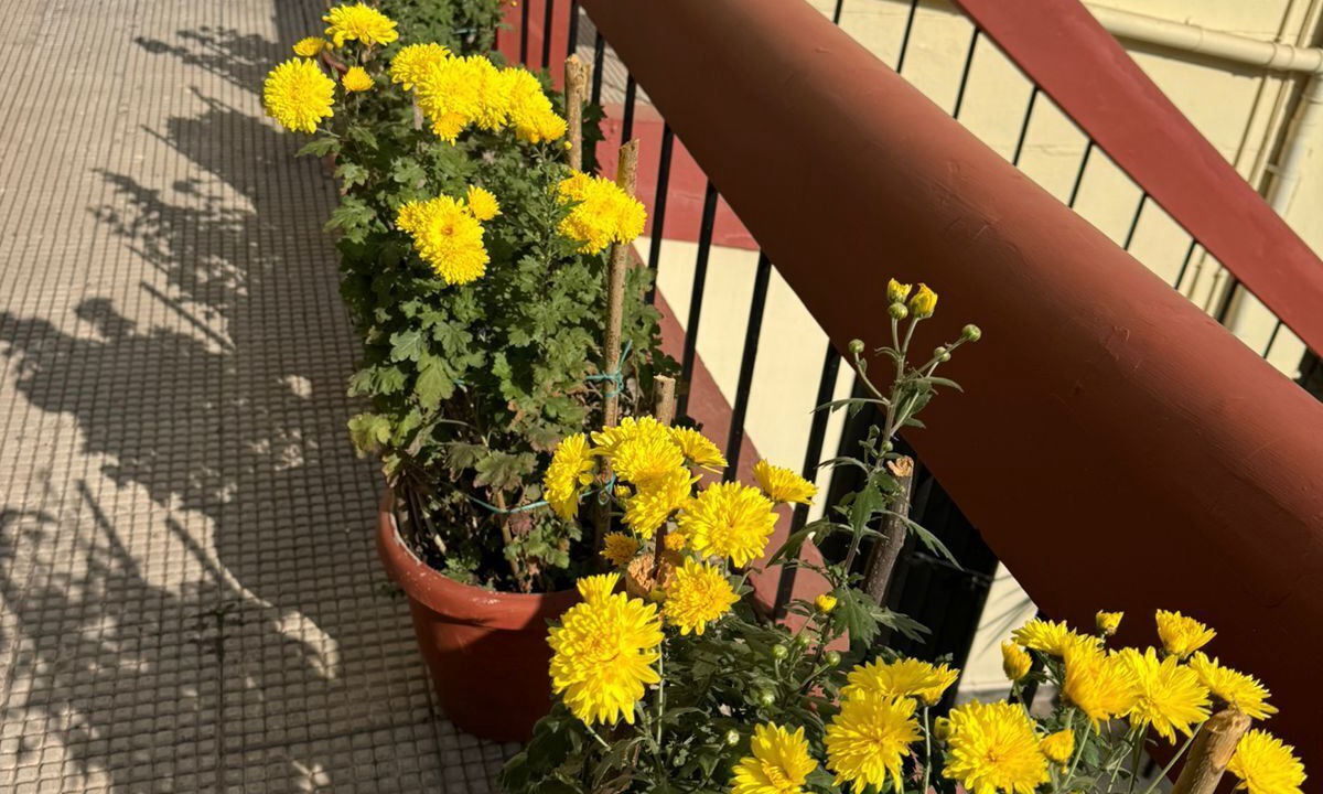 Photo of Outdoor in Kumarhatti