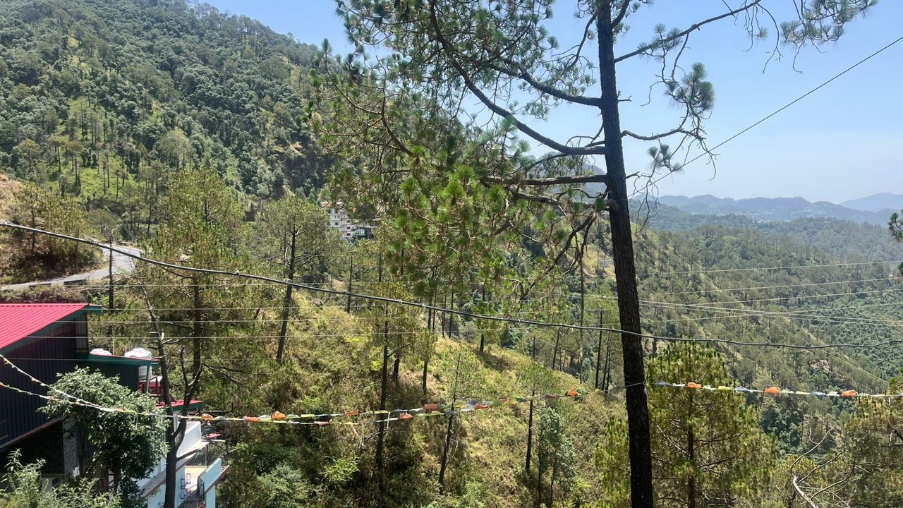 Photo of Others in Shimla