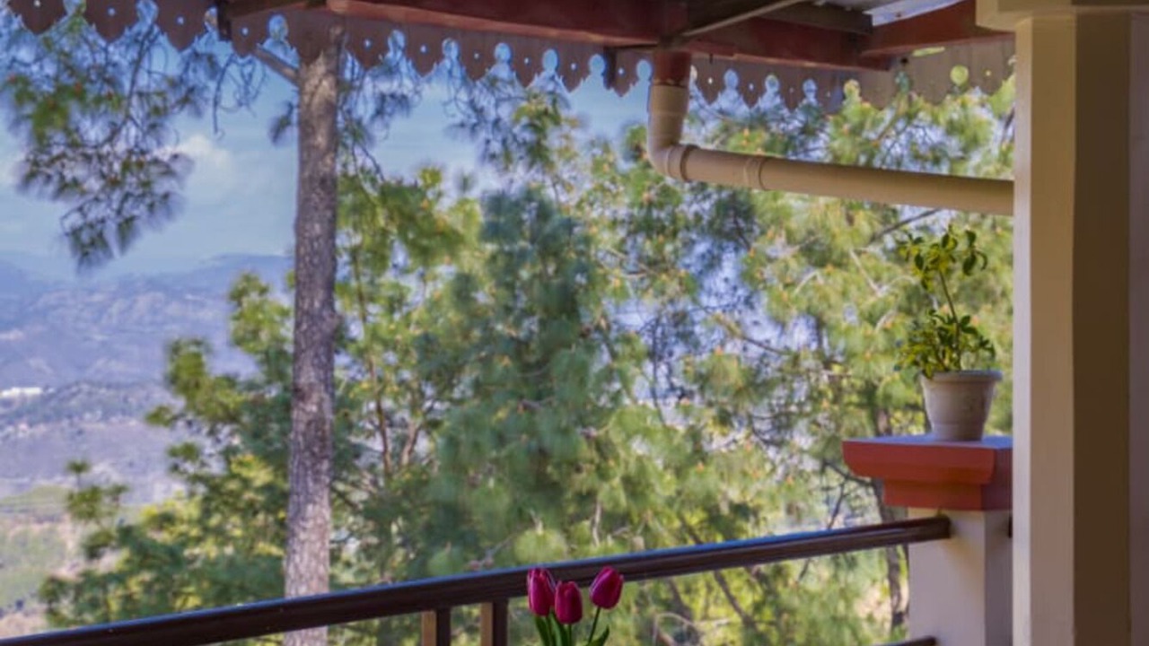 Photo of Outdoor in Kasauli