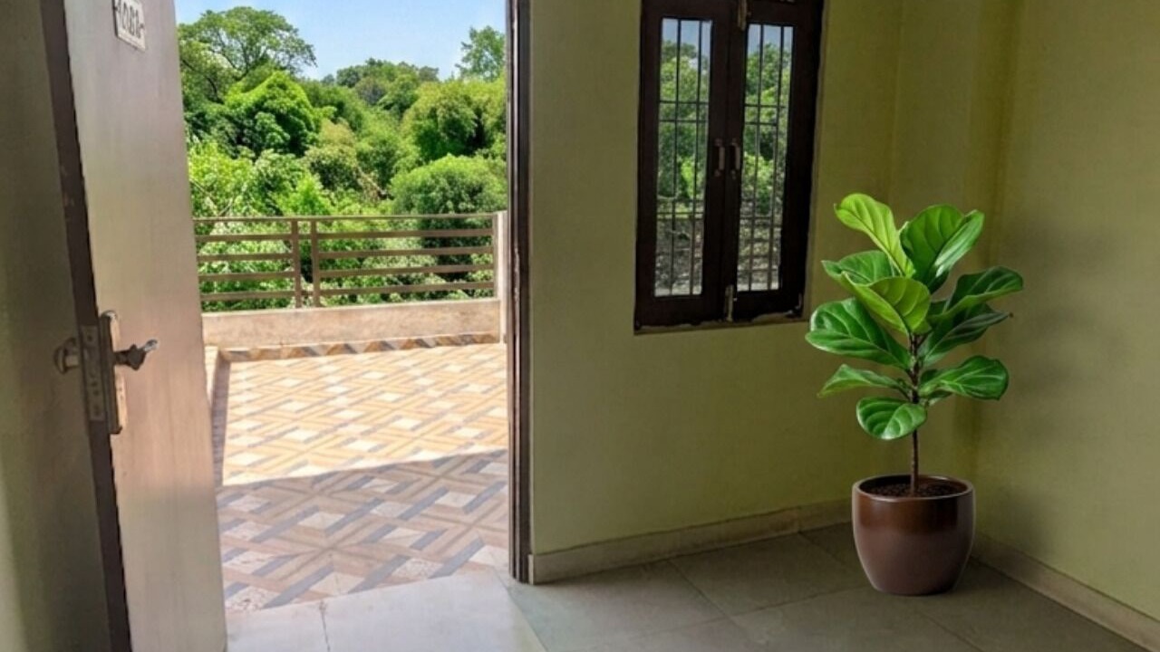 Photo of Patio Balcony in Meerut