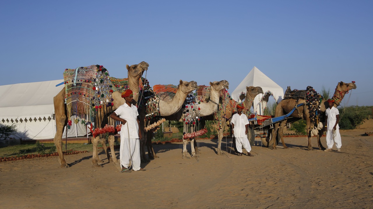 Photo of Outdoor in Ajmer