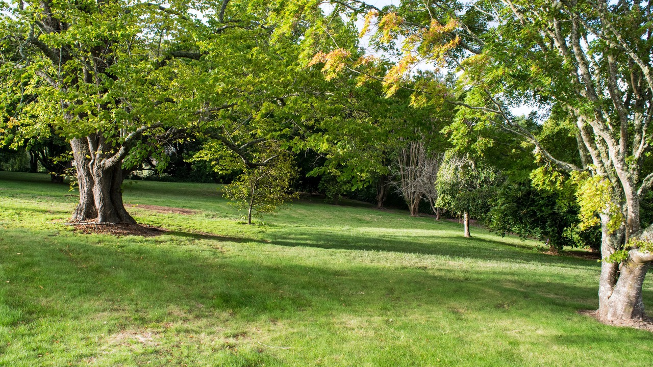 Photo of Outdoor in Sutton Forest