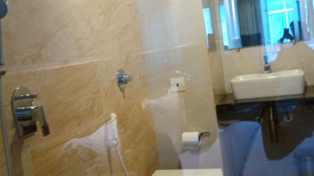 Photo of Bathroom in Vapi