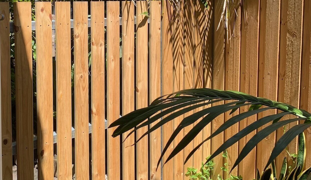 Photo of Outdoor in Patonga