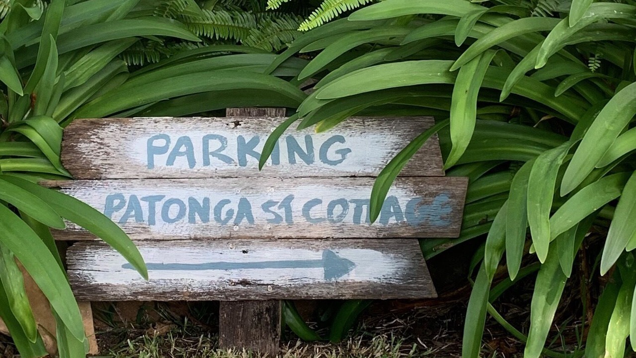 Photo of Outdoor in Patonga