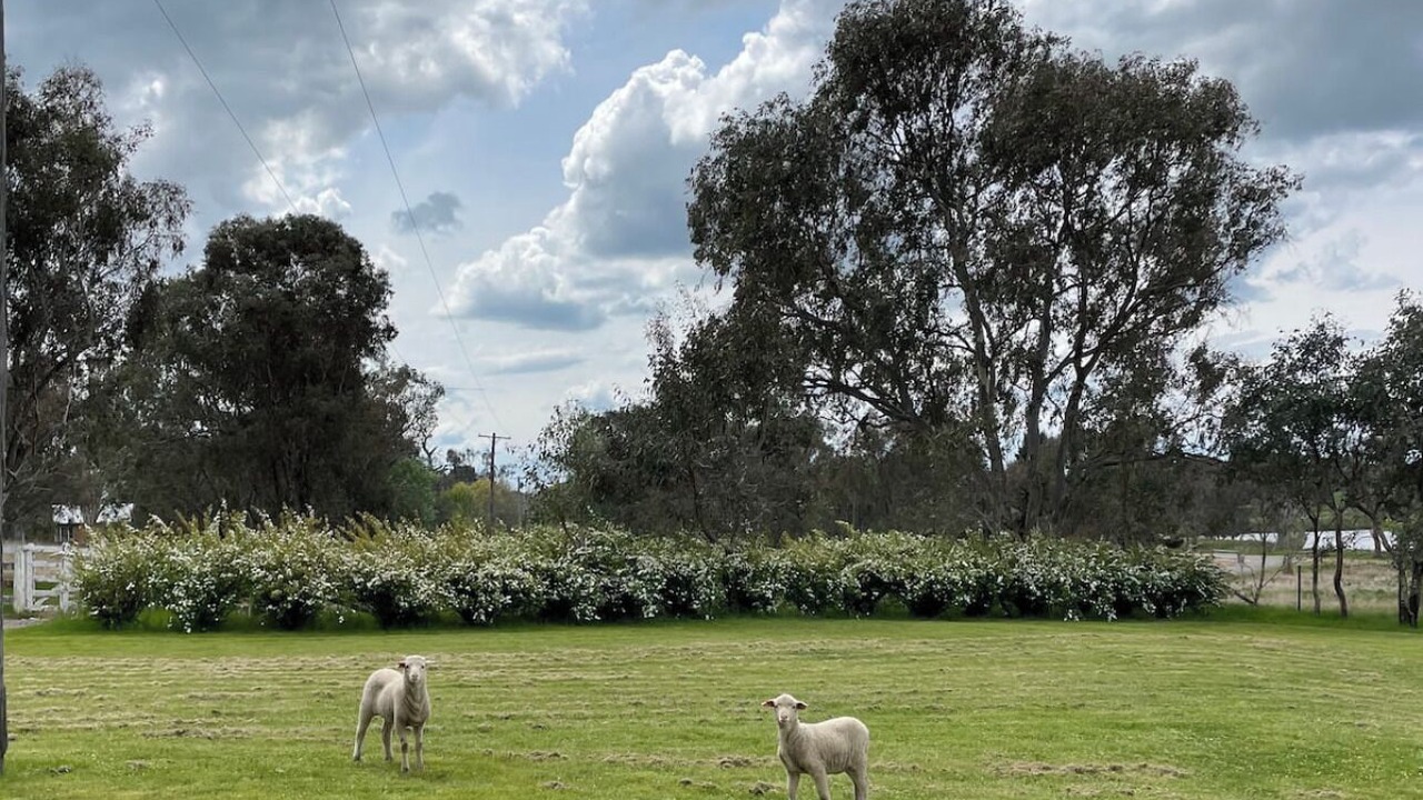 Photo of Others in Yass