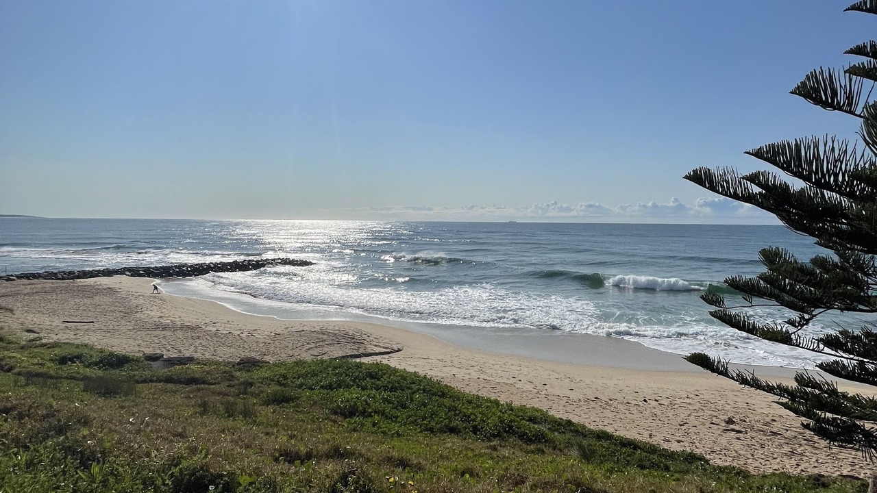 Photo of Others in Central Coast