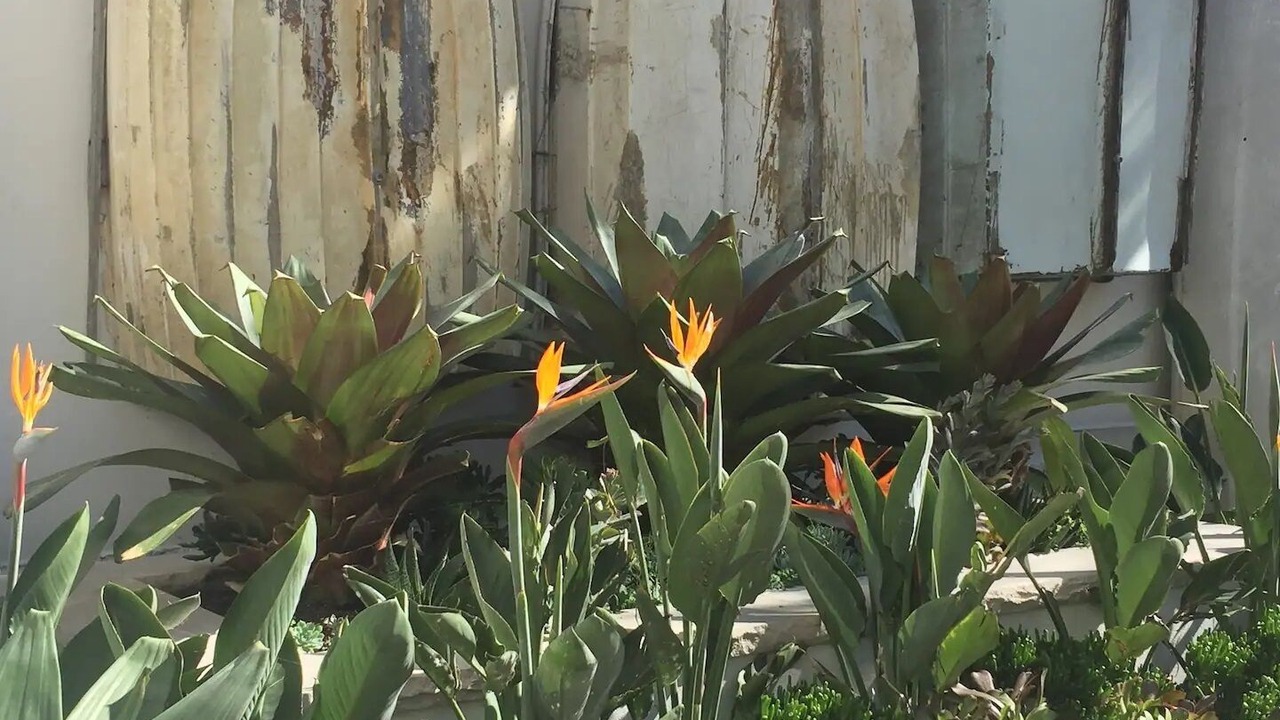 Photo of Outdoor in Blackwall