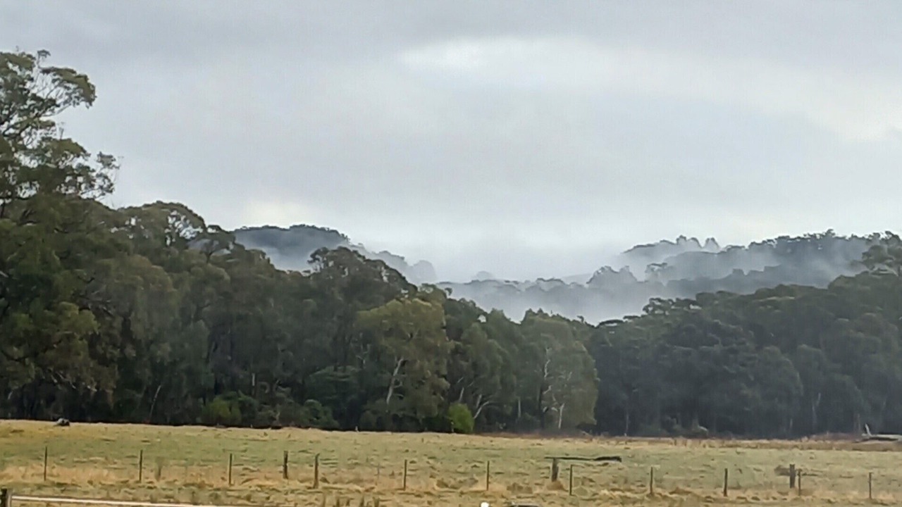 Photo of Outdoor in Moss Vale