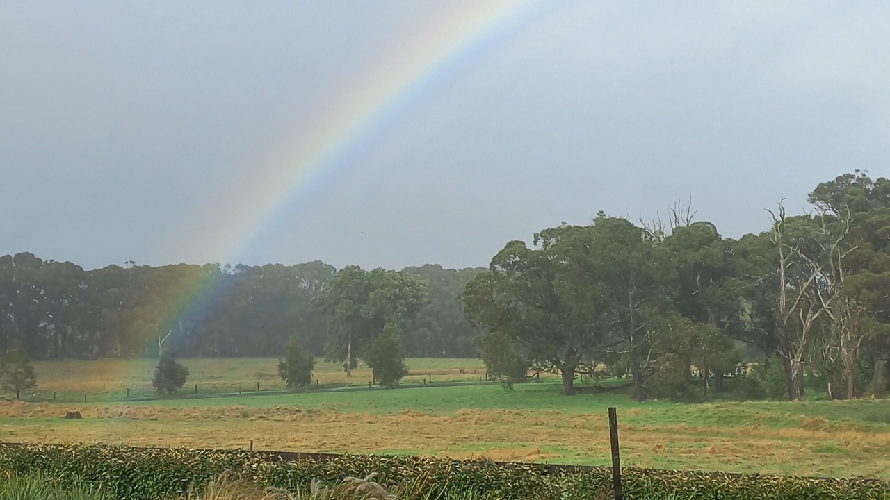 Photo of Outdoor in Moss Vale