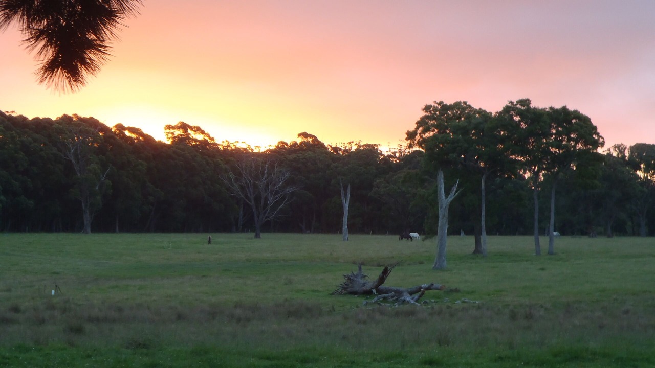 Photo of Others in Moss Vale