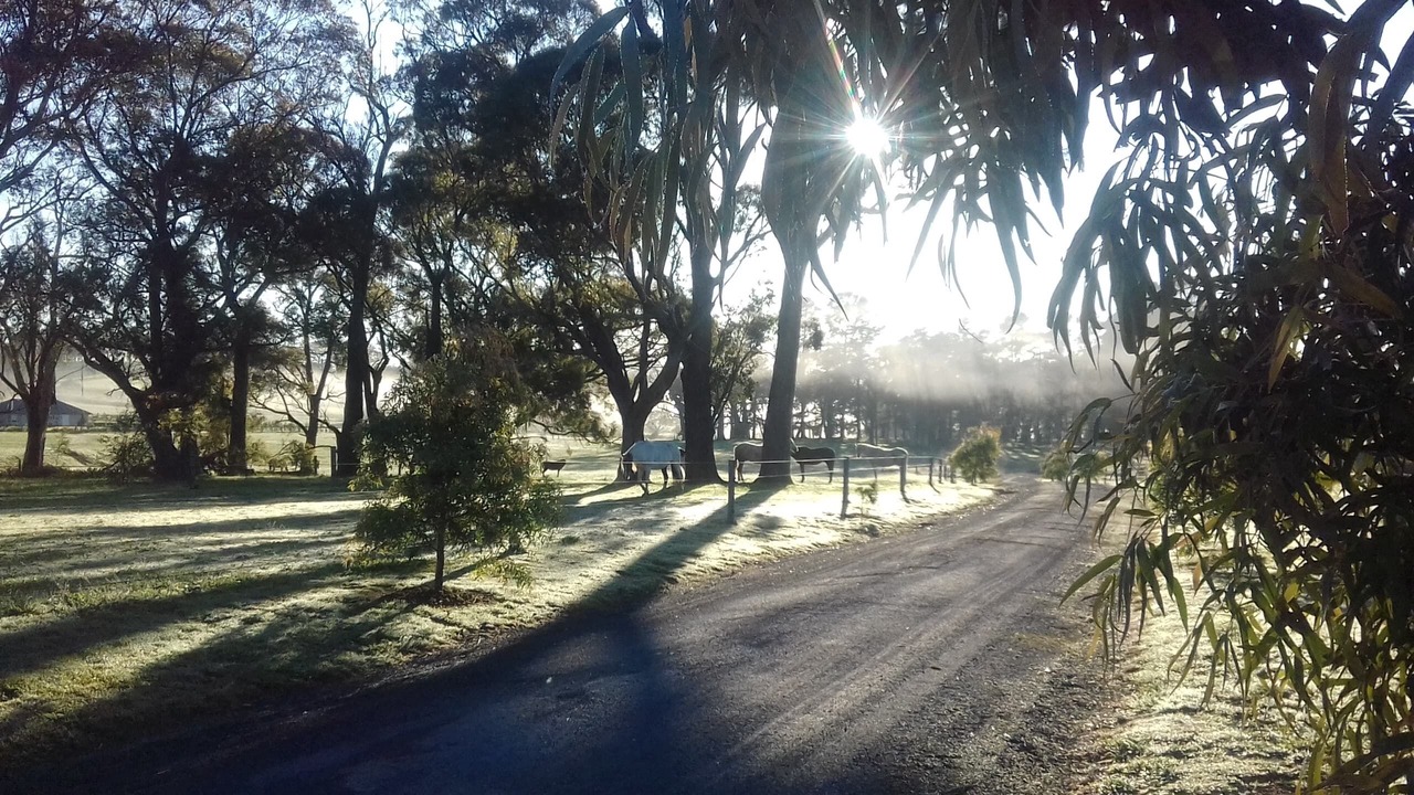 Photo of Outdoor in Moss Vale