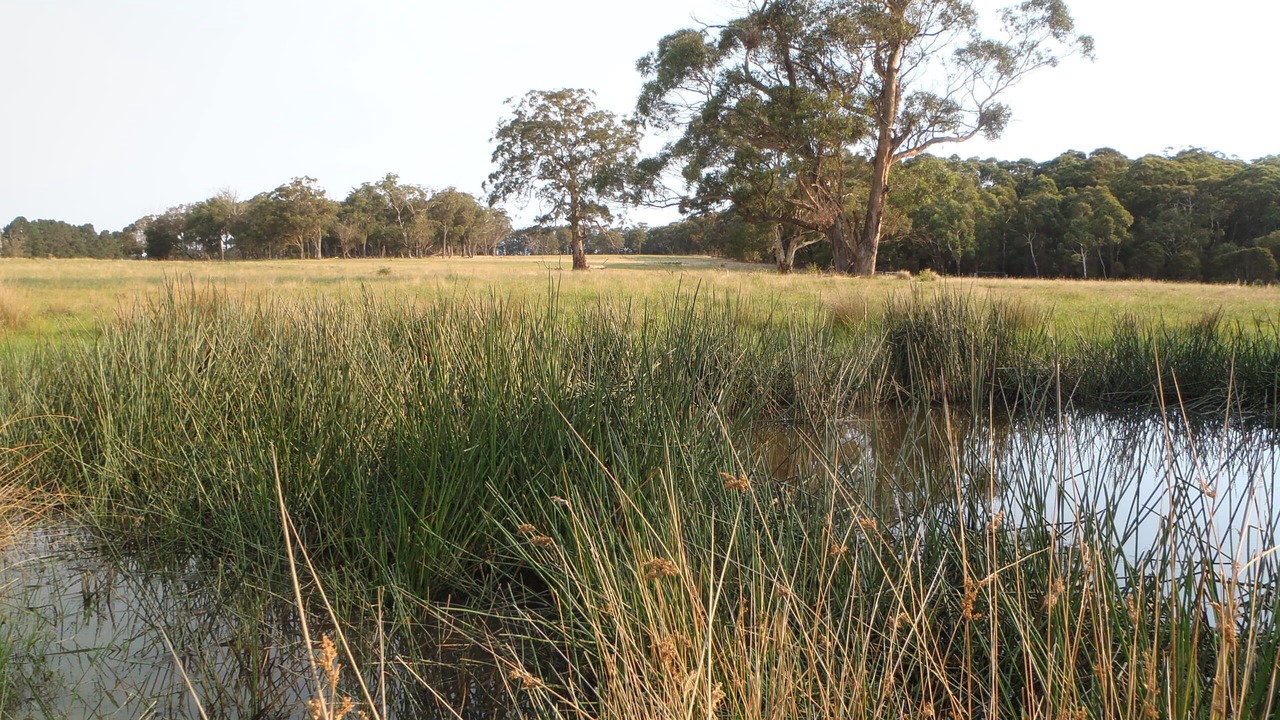 Photo of Outdoor in Moss Vale
