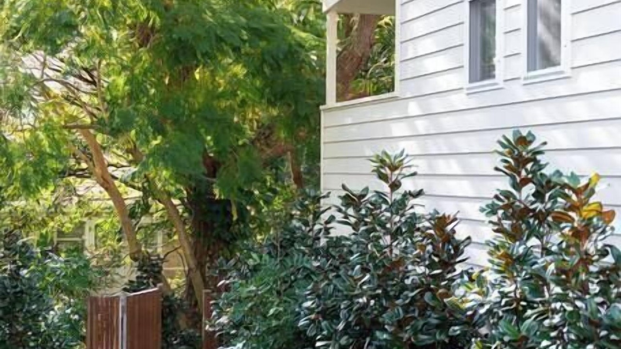 Photo of Outdoor in Balmain East