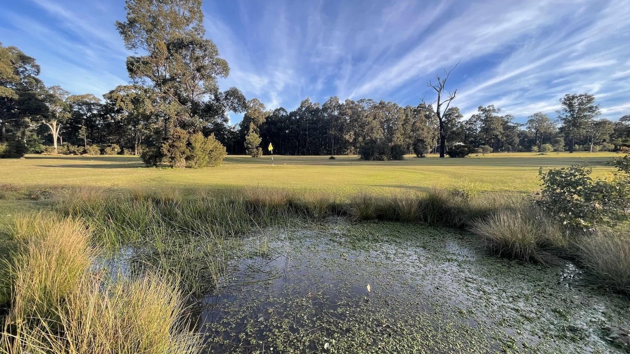 Photo of Others in Lovedale