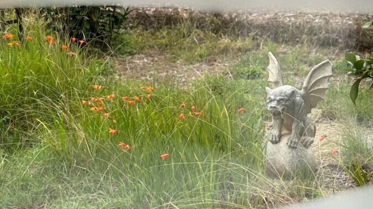 Photo of Outdoor in Wentworth Falls