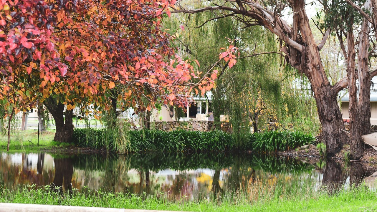 Photo of Outdoor in High Range