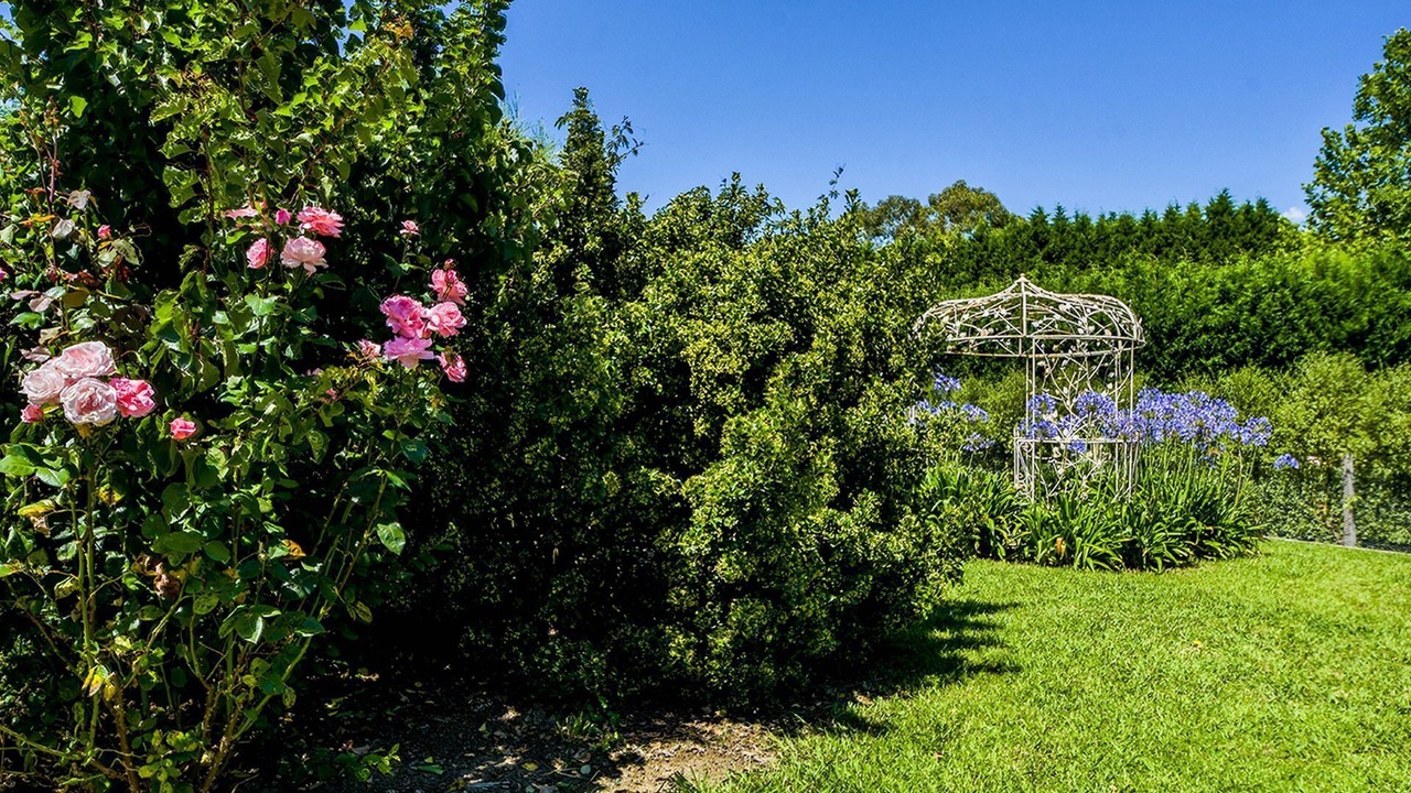 Photo of Outdoor in Bowral