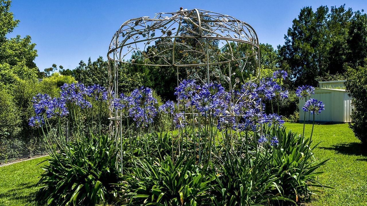 Photo of Outdoor in Bowral