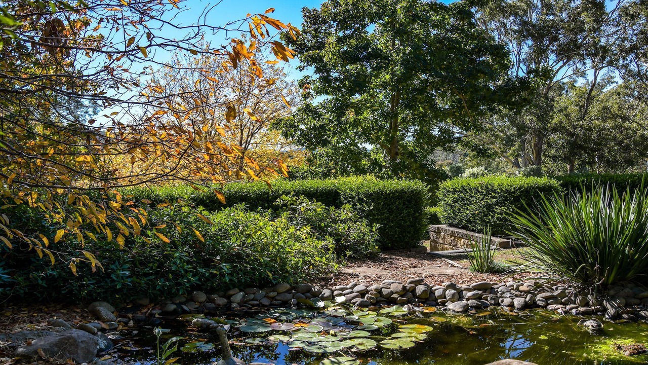 Photo of Others in Bowral