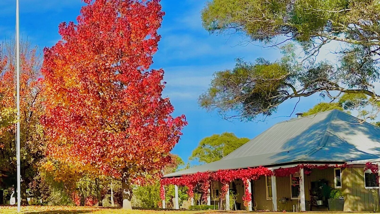 Photo of Outdoor in Mongarlowe
