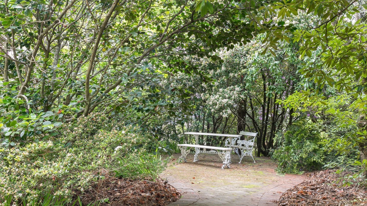 Photo of Outdoor in Wentworth Falls