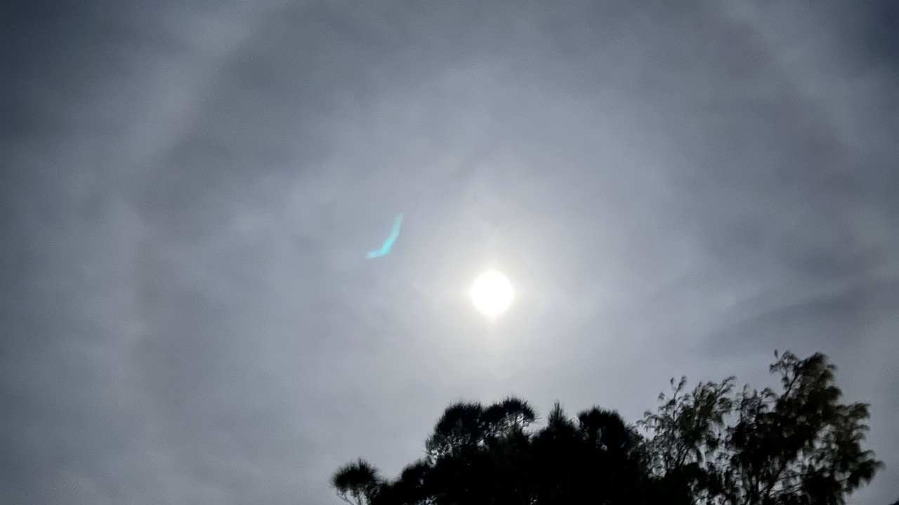 Photo of Others in Wollombi