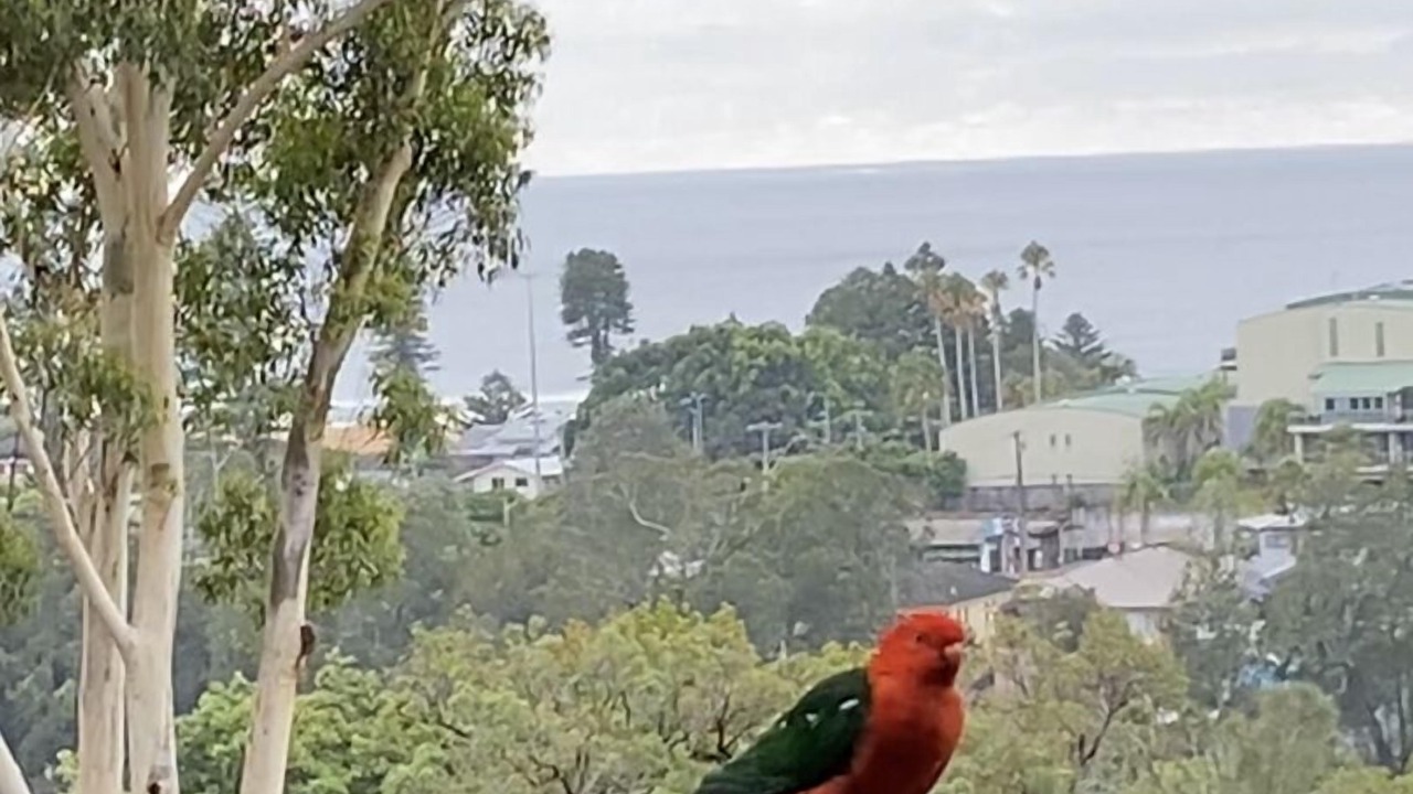 Photo of Outdoor in Avoca Beach