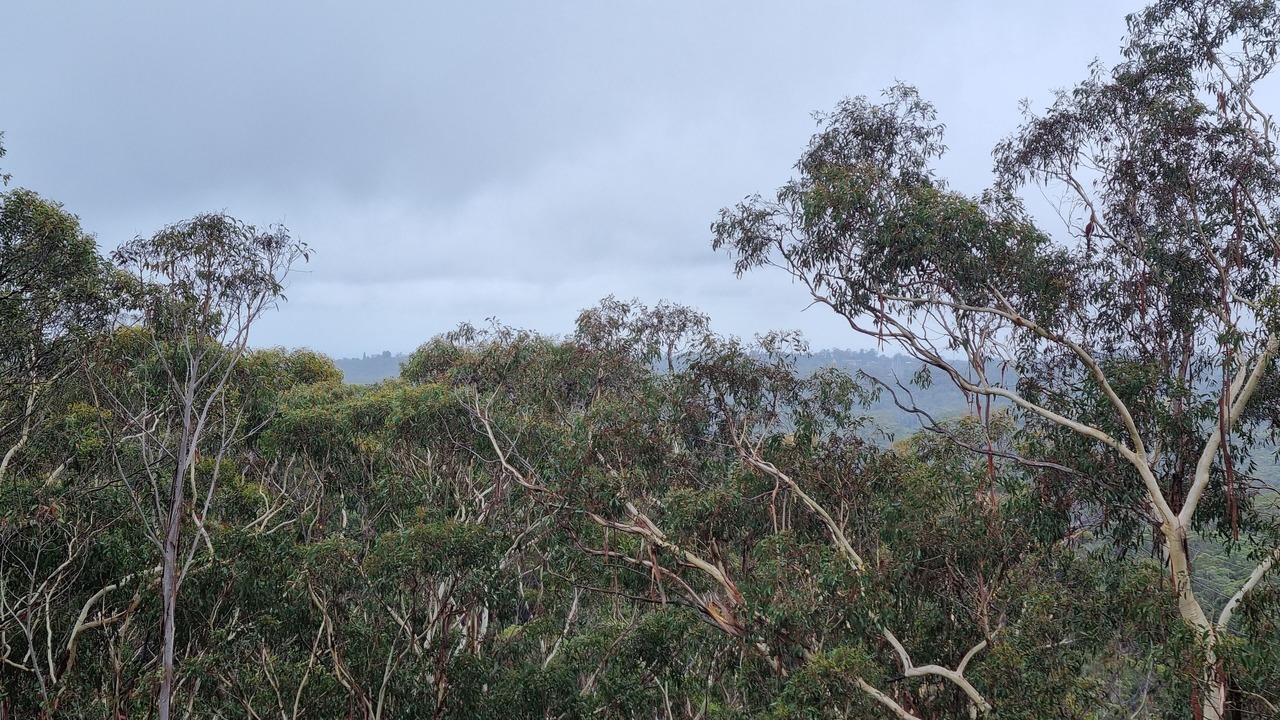 Photo of Others in Wentworth Falls